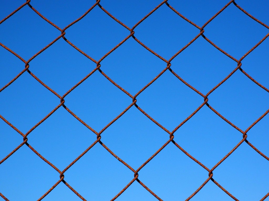 Source: https://pixabay.com/photos/wire-mesh-wire-mesh-fence-fence-1117741/